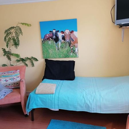 B&B Bij De Koeien Tubbergen ภายนอก รูปภาพ
